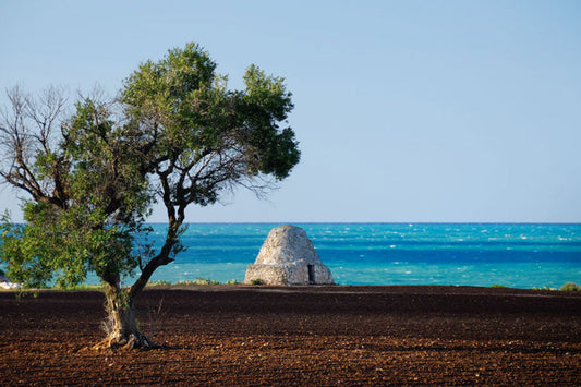 Acanto e il Salento, una questione di radici