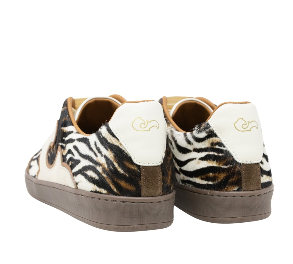 Acanto Choco Tiger