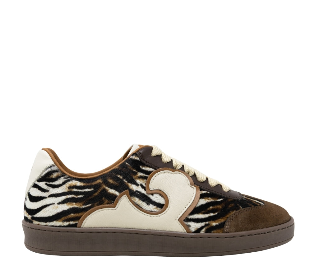 Acanto Choco Tiger