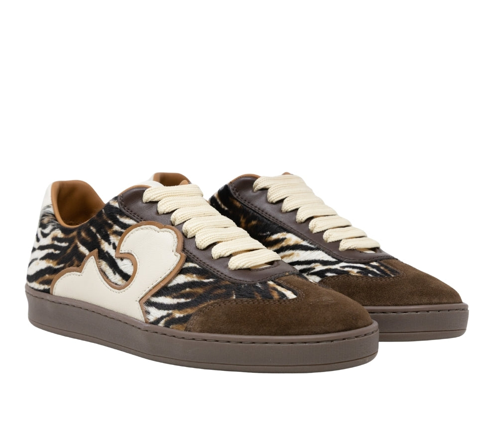 Acanto Choco Tiger